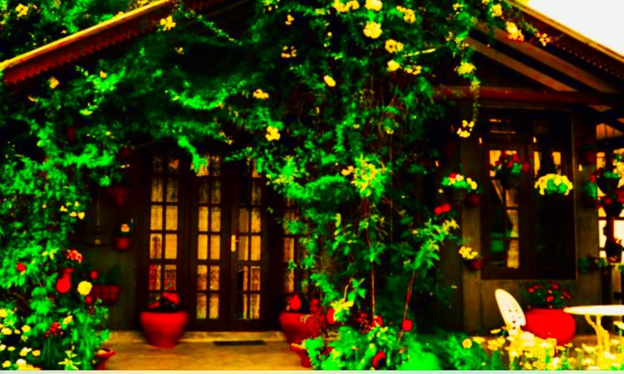 Serendipity Lake Artistic Bungalow By Heidis Home Nuwara Eliya Bagian luar foto